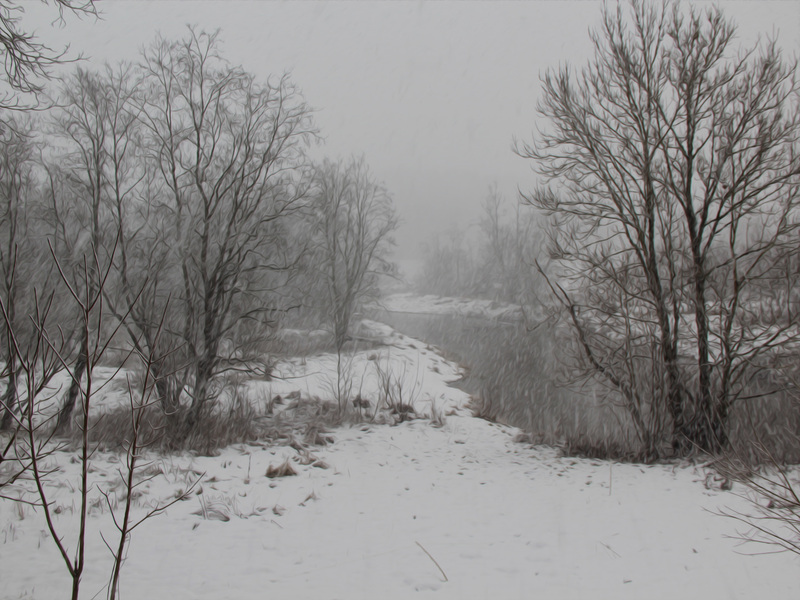 Winter-Nature-Snowing-068.jpg
