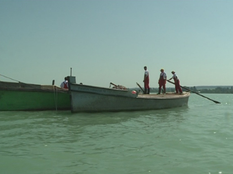Balaton halászat