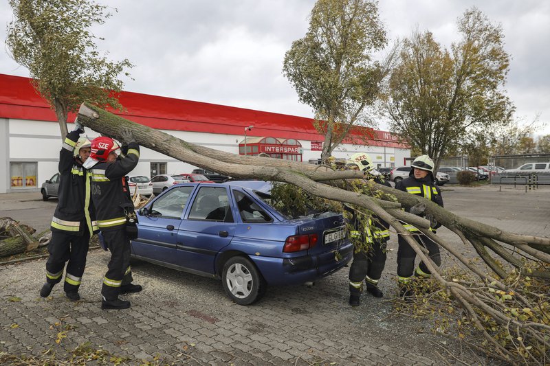 Autóra dőlt fát távolítanak el tűzoltók egy áruház parkolójában Szentendrén 2017. október 29-én. Több járásra másod- és harmadfokú riasztást adott ki az Országos Meteorológiai Szolgálat délelőtt a várható viharos erősségű széllökések miatt. MTI Fotó: Mohai Balázs