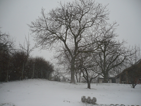 havazás Bocskai utca 3