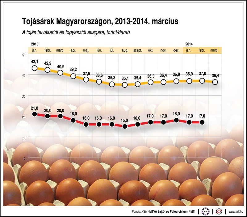 tojás árak