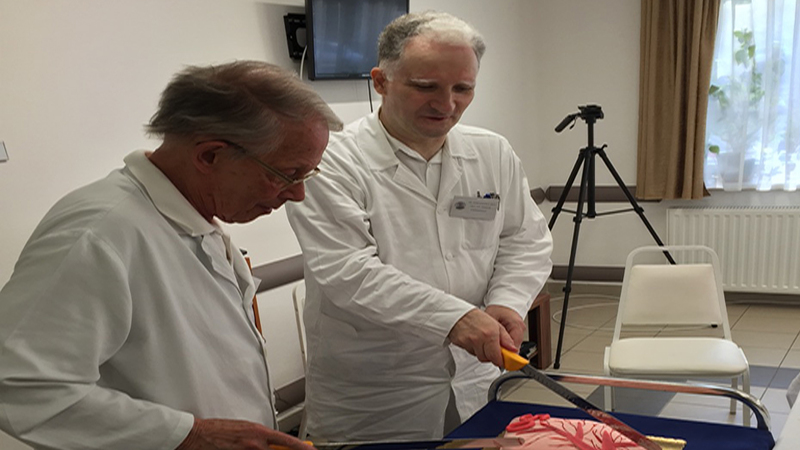 Dr. Várkonyi János és dr. Andrásofszky Zsolt a szakmájukhoz illő, tüdőt formázó tortát szelik fel. Fotó: Kanizsai Dorottya Kórház
