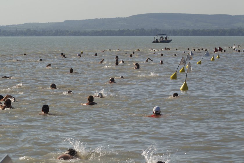 A Balaton-átúszás résztvevői úsznak a révfülöpi part közelében. MTI Fotó: Varga György