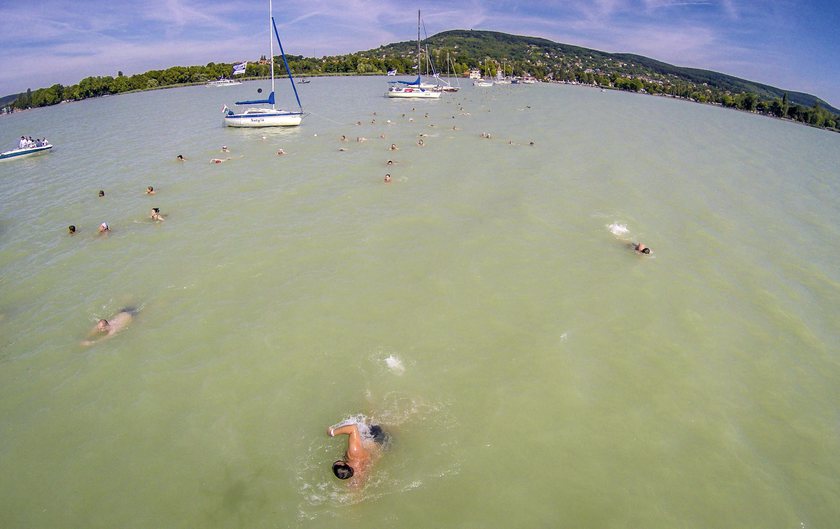 Vitorlások sorfala mellett úsznak a Balaton-átúszás résztvevői Révfülöp és Balatonboglár között 2015. július 4-én. MTI Fotó: Ruzsa István