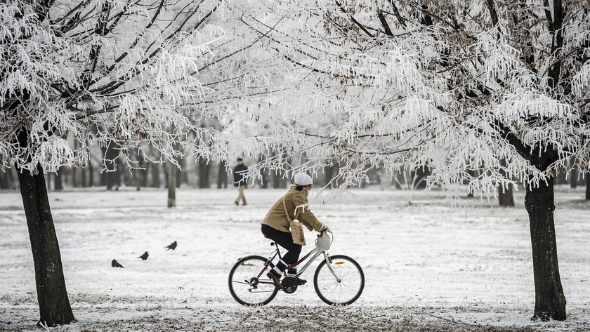 Egy fiatal lány kerékpározik a zúzmarás fák között Debrecenben a Margit téren. fotó: MTI/Czeglédi Zsolt