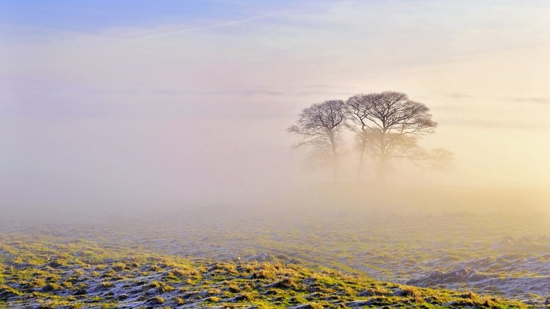 25271__morning-fog-on-a-frosty-field_p.jpg