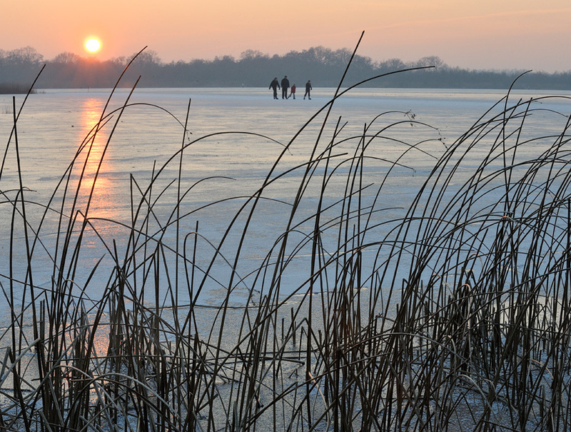 A Sunny Winter Day 872 Copyright Martin van Lokven.jpg