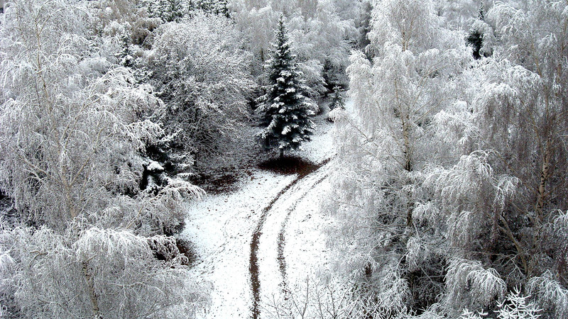 road-in-a-forest-covered-with-snow-wallpaper.jpg