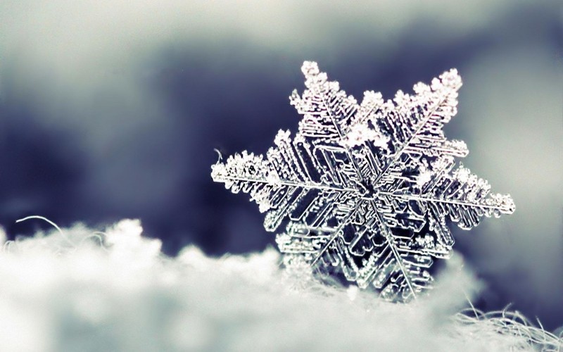 Frost-Ice-Nature-1080x675.jpg