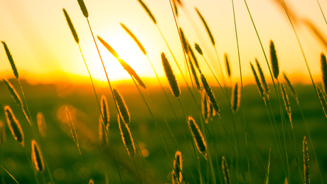A hét első napja még a kánikula jegyében telik