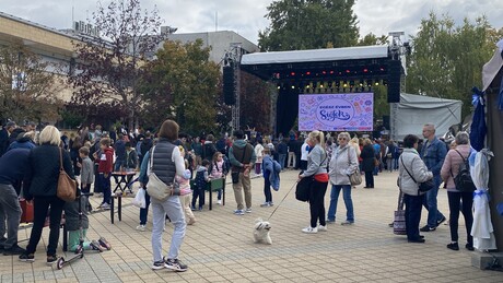 Három nap halas ízekkel és zenével