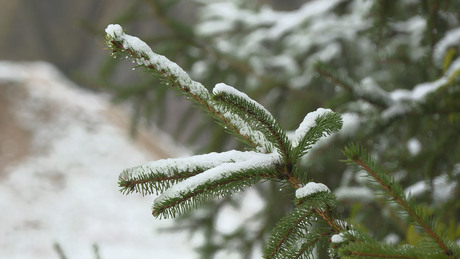 Megérkezett az első hó