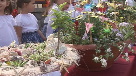 Videóval! Színes virágokkal teli kertet álmodtak a kaposvári óvodások