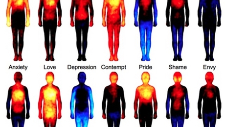 Így reagál testünk az érzelmekre