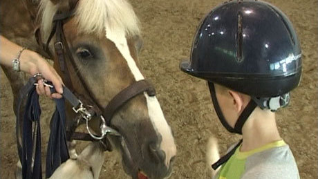 Az országban elsőként egyetemi szintű lovasterapeuta képzés Kaposváron  