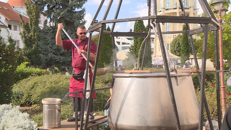 A hétvégén lesz a XII. Halfesztivál Siófokon