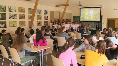 Újabb 500 helyszínen lesz Iskolában az Erdő Program