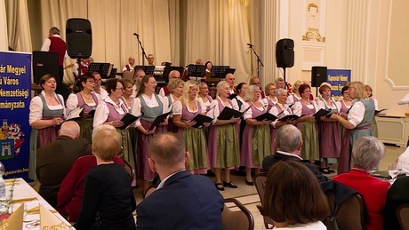 Gálaműsorral ünnepeltek a kaposvári németek