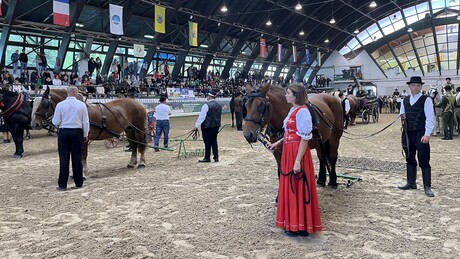 Fajtabemutatók, konferenciák és színes programok a KÁN-on