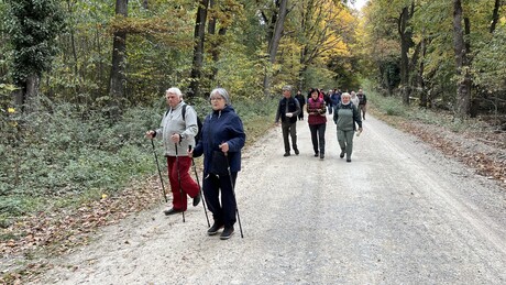 Átmeneti lezárások lesznek a Szántód környéki erdőben