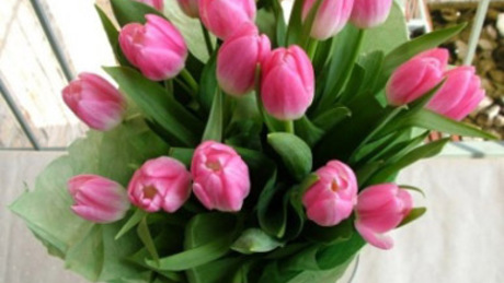 Egy virág annak, aki a világra hozott - kaposvári hírességek anyák napi köszöntői
