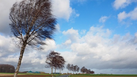 Hidegfrontos, szeles idő várható csütörtökön