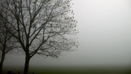 A változást okozó frontok továbbra is messze elkerülik hazánkat