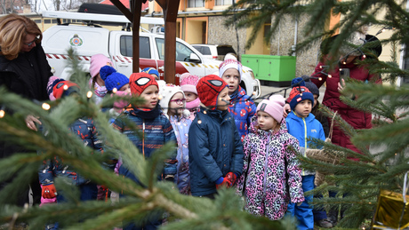 Ovisok a laktanyában