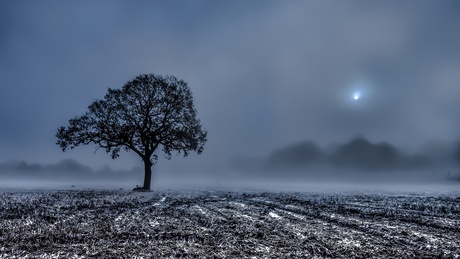 Nincs változás, még napokig tartja magát a nyirkos, ködös idő
