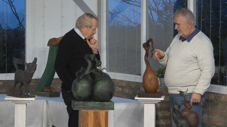 Szkíta-magyar rokonság