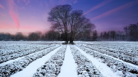 Folytatódik a változékony téli idő