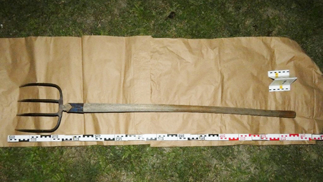 Egy italos éjszaka előkerült a vasvilla is