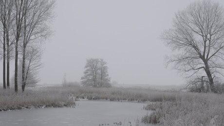 Folytatódik a nyirkos, ködös, téli idő