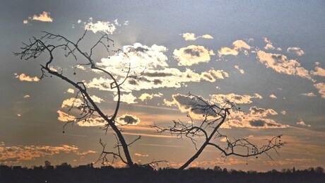 Fotókon az "arany órák" és az ég suttogásai