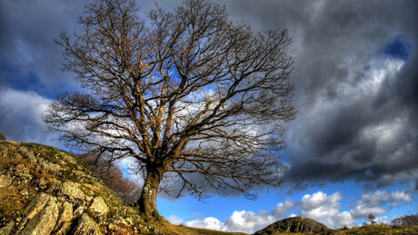Távozik a ciklon, csökken a csapadékhajlam