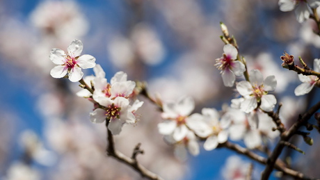 Ez vár ránk a jövő héten