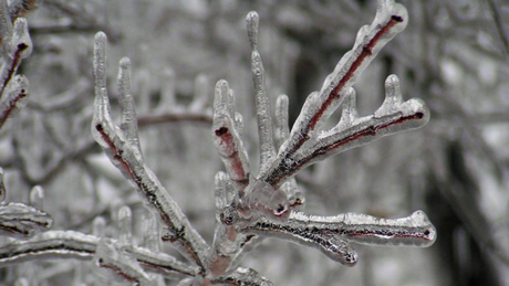 Életbe lépett a vörös kód