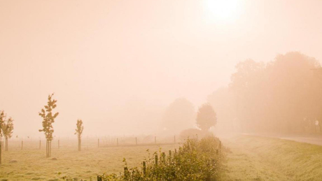 Köd vs. napsütés