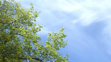 Ma növekvő felhőzet, holnap csapadék!