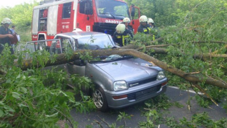 Autóra dőlt a fa Lengyeltóti és Somogyvár között