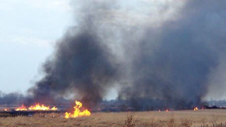 Avartűz - a füst miatt rövid időre lezárták az M7-es autópálya egy szakaszát  