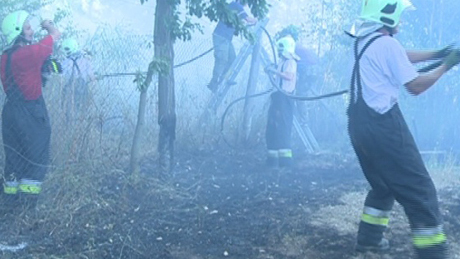 Videóval! Égett az erdő Bánya környékén - sorra lobbantak fel a lángok Somogyban
