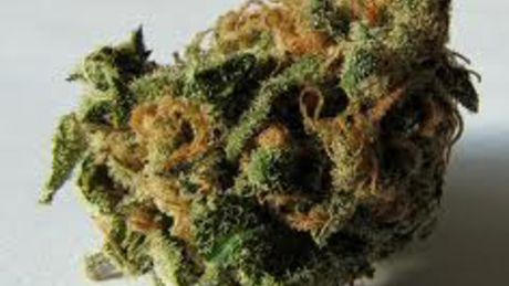Zöld utat kaphat a cannabis?