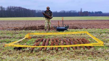 Majdnem öt riasztást kaptak naponta a tűzszerészek