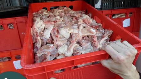 Egy tonna csirke farhát lapult a teherautóban