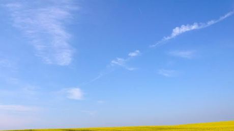 Május elejének megfelelő hőmérsékletek március végén - mi jöhet még?