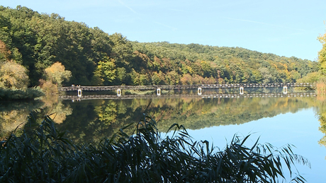 Felújítják a desedai arborétumhoz vezető hidat