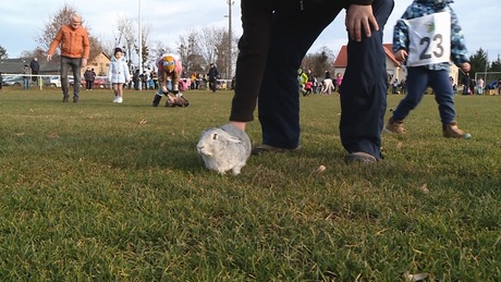 Bundás sikerével zárult a somogysárdi nyúlfuttatás