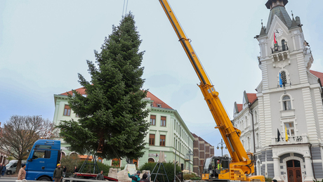 Megérkezett a belvárosba Kaposvár karácsonyfája