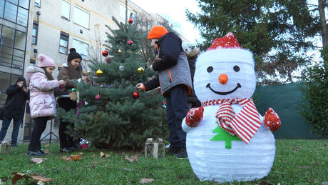 Felöltöztették a karácsonyfát